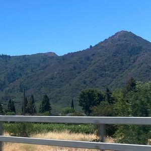 Meet your Posher, Sofia